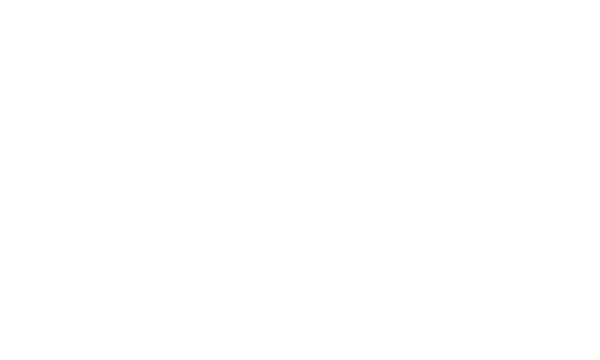 Stake Logo